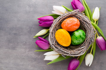 Spring greeting card. Easter eggs in the nest. Spring flowers tulips.
