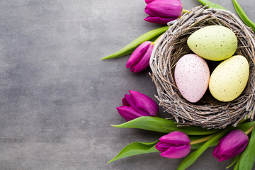 Spring greeting card. Easter eggs in the nest. Spring flowers tulips.