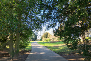 Fototapeta na wymiar Roundhay Park, Leeds, United Kingdom. One of the largest Parks in Europe.