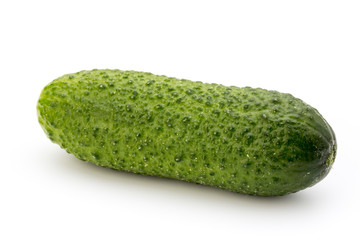 The first spring ecologically cucumbers.