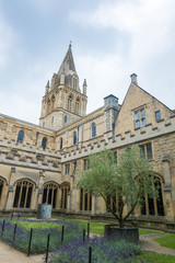 Fototapeta na wymiar Oxford, England - 24 July 2016 - Christ Church College, a constituent college of the University of Oxford in England on 24 July 2016 in Oxford, United Kingdom