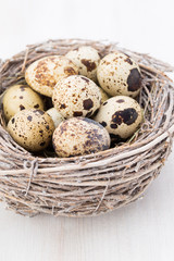 Obraz premium Quail eggs of birds nest. Easter composition.