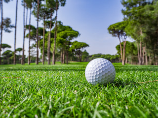 Golf course in the countryside