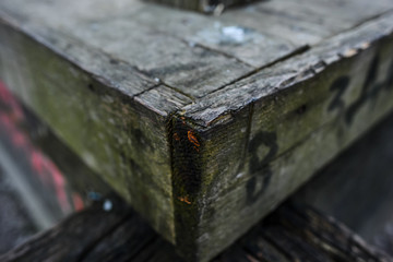 Old dark wood texture natural pattern wooden planks