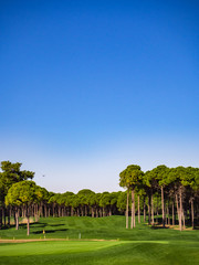 Fototapeta na wymiar Golf course in the countryside