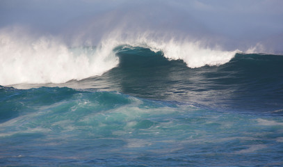 Large waves from winter swells off the coast of Maui, Hawaii