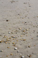 Fototapeta na wymiar Little stones at the beach, selective focus