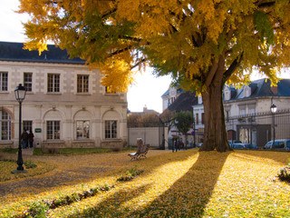 montrichard,loir et cher,france