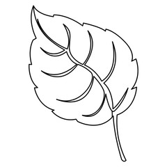 figure leaf contrast icon, vector illustraction design