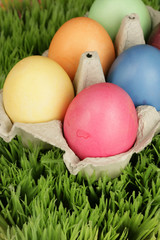 Fototapeta na wymiar Easter eggs in carton on grass