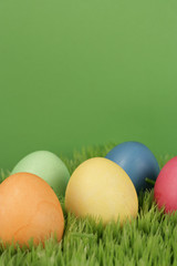 Easter eggs on grass