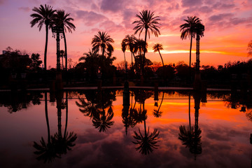 Palm Trees Reflected in the Water in Maria Luisa Park at Sunset, Seville, Andalusia, Spain