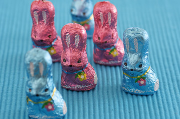 Blue and pink chocolate Easter bunnies, close-up, selective focus