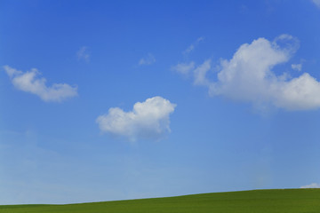 Grass with blue sky and clouds