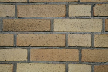 Obraz premium Close-up of a wall