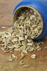Fennel seeds