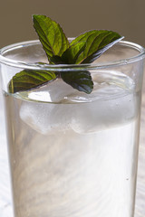 Glass of water with fresh peppermint