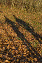 Shadows cast by two people onto ground