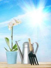 Gardening composition with a flower and watering can against sunny blue sky