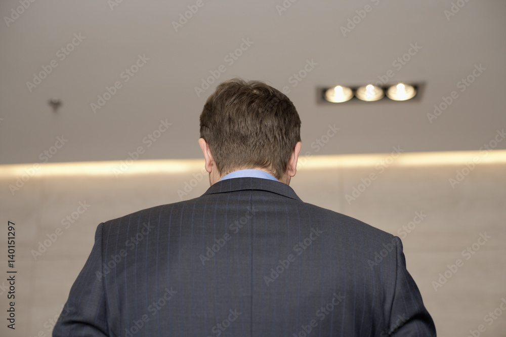 Wall mural rear view of a businessman, low angle view