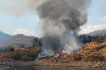 Obraz na płótnie Canvas smoke from the wildfire in the forrest.