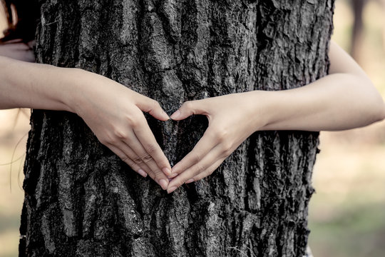 woman hands making a heart shape around a big tree as love nature concept in dark tone