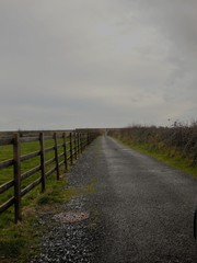 Obraz premium Road Less Traveled