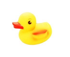 Yellow rubber duck toy isolated on white background