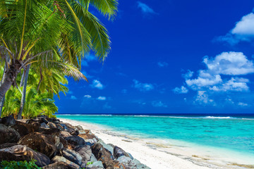 Palm trees on the beach, tropical Cook Islands, Rarotonga