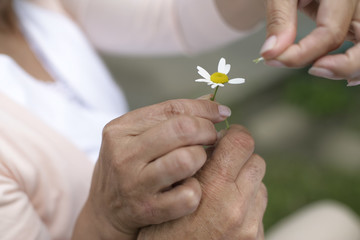 Mature couple plucking petals of a flower