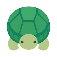 前向きのカメ