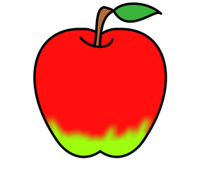 リンゴ(赤緑)