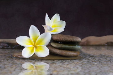 Obraz na płótnie Canvas Flower plumeria or frangipani on green leaf and water