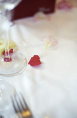 Menu Card on a Table with Rose Petals on it - Decoration - Party - Wedding