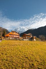 French Alps Mountain and Traditional Wooden Chalet near Annecy, France. Vertical