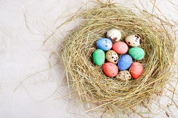 Naklejka na ściany i meble Colorful eggs in the nest, Easter holiday