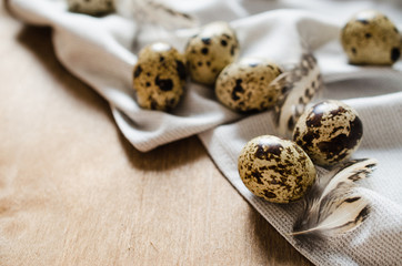 Fresh Organic Quail Eggs on Wooden Table.
