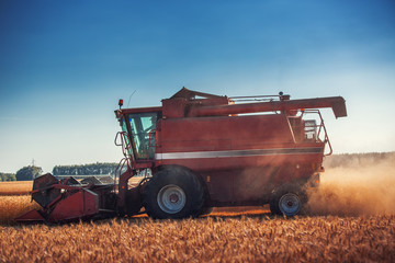 Combine harvester agriculture machine harvesting golden ripe wheat field