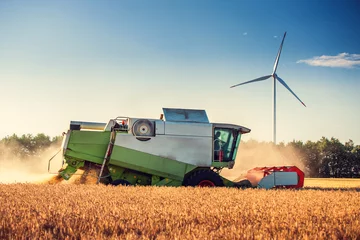 Gordijnen Combine harvester agriculture machine harvesting golden ripe wheat field © ValentinValkov
