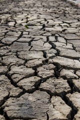 Large cracked land field