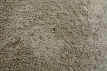 cement texture background