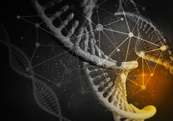 Medicine user interface