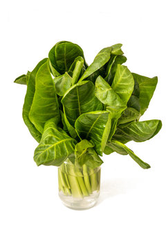 raw chard leaves in water