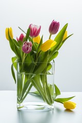 A bouquet of bright purple and yellow tulips in a glass vase with water creates a wonderful mood and decorates the interior.
