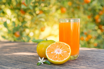Orange Juice