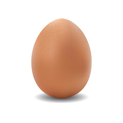 3d  isolated vector realistic brown egg on white background
