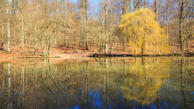 Wiesbaden, Dambachweiher im Dambachtal. M&auml;rz 2017.