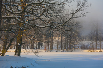 Winter Wonderland in the morning