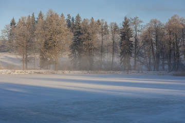 Winter Wonderland in the morning