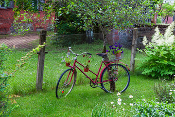 Vintage bicycle with flowers in the green garden